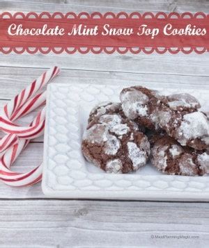 chocolate-mint-snow-top-cookies-crinkle-cookies image