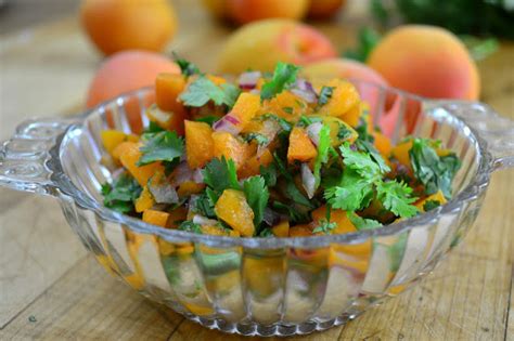apricot-salsa-the-view-from-great-island image