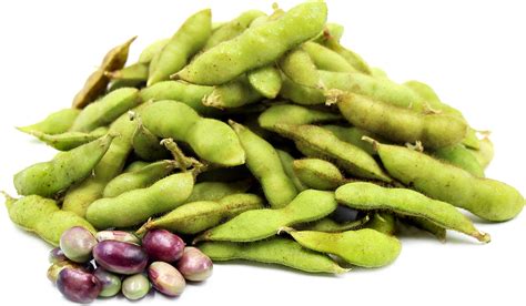 black-soybeans-information-recipes-and-facts-specialty image
