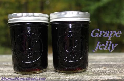 grape-jelly-mamas-homestead image