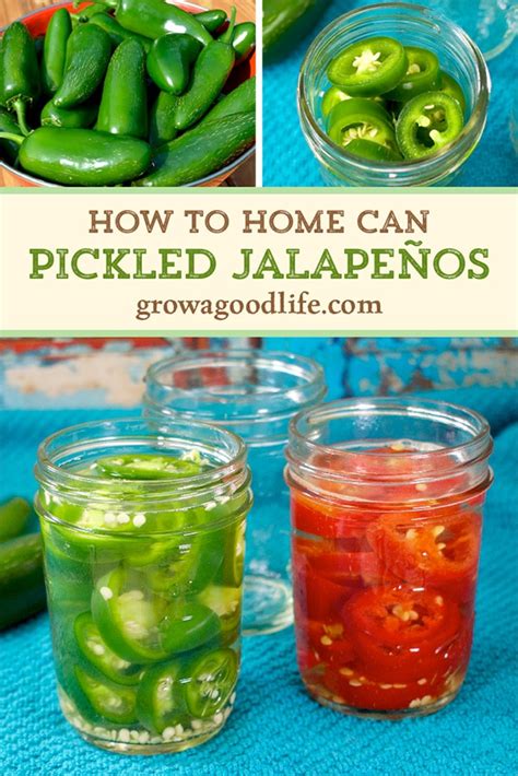 pickled-jalapenos-canning-recipe-grow-a-good-life image