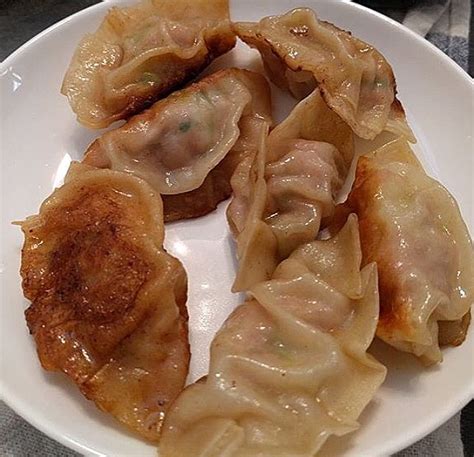chicken-and-vegetable-gyoza-bite-your-brum image