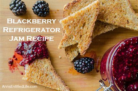 blackberry-refrigerator-jam-recipe-anns-entitled-life image