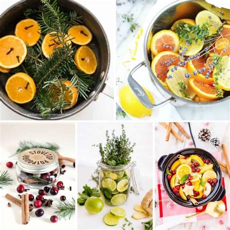 30-amazing-simmer-pot-recipes-for-every-season image