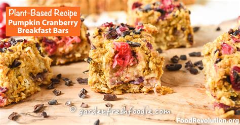 revolutionary-recipe-pumpkin-cranberry-breakfast-bars image