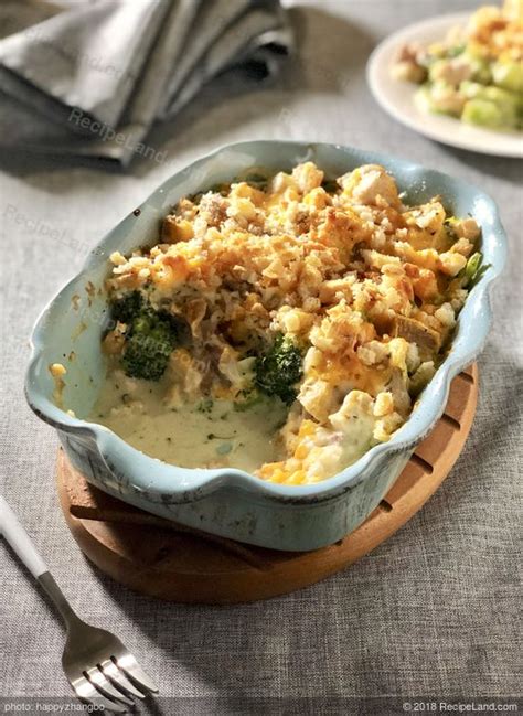 favorite-turkey-broccoli-casserole-recipe-recipelandcom image