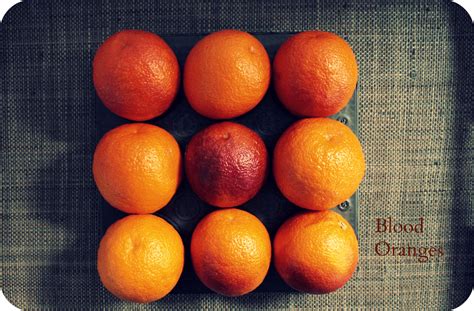 blood-orange-upside-down-cake-dish-n-the-kitchen image