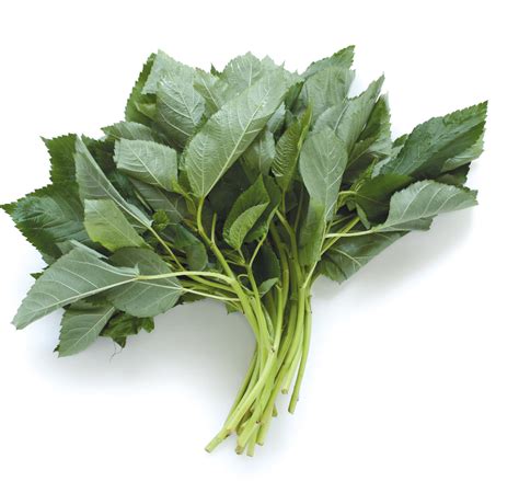egyptian-spinach-edible-alaska image
