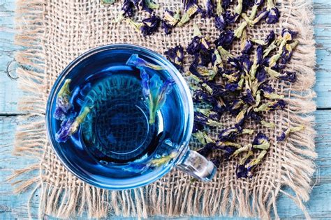 violet-tea-recipe-thriftyfun image