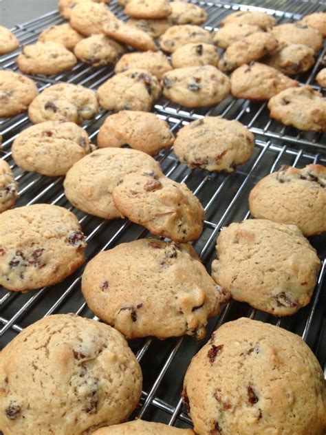 raisin-cookies-soft-spicy-old-fashioned-cookies-for-a-great image