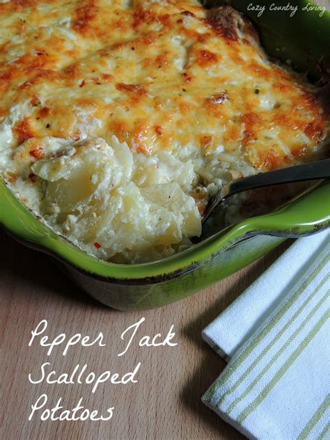 pepper-jack-scalloped-potatoes-cozy-country-living image