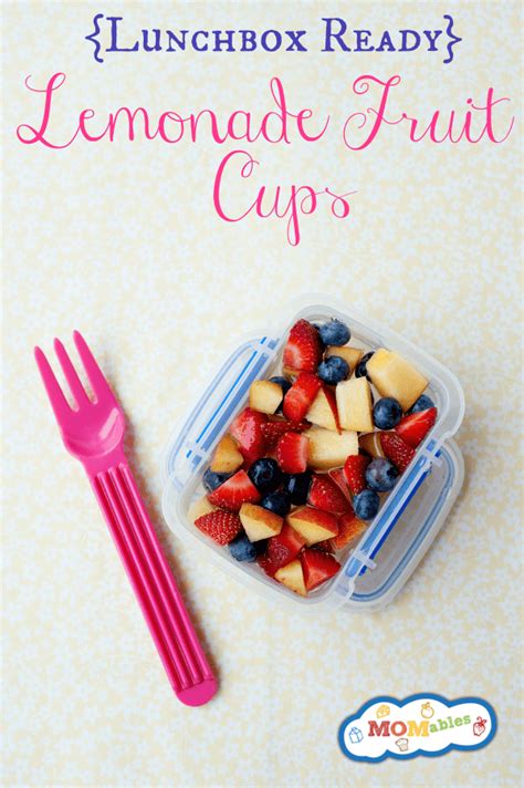 homemade-fruit-cup-recipe-momables image