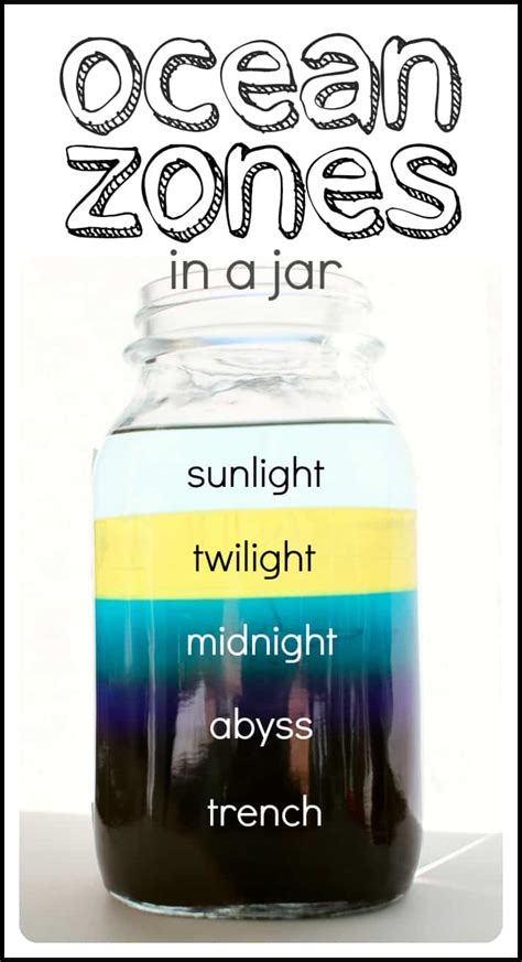 make-your-own-ocean-zones-in-a-jar-i-can image