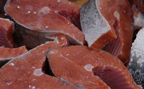 what-does-sushi-grade-salmon-really-mean-pogogi image