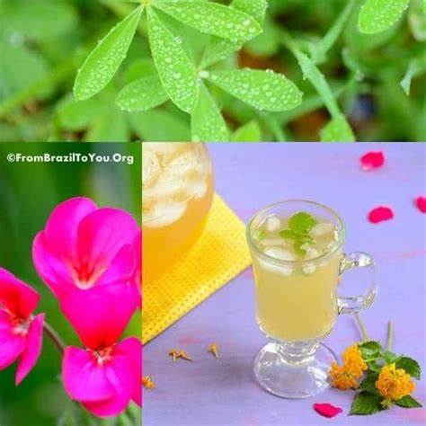 homemade-pineapple-mint-iced-tea-ch-de-abacaxi image