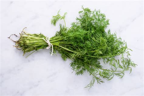 dill-benefits-side-effects-and-preparations-verywell-fit image