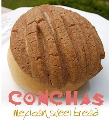 conchas-mexican-sweet-bread-amandas-cookin image