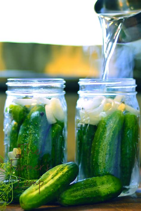 easy-cucumber-canning-recipes-the-farmers-lamp image