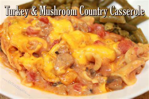 turkey-and-mushroom-country-casserole-of-the image