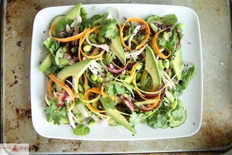 asian-chicken-salad-with-honey-sesame-dressing image