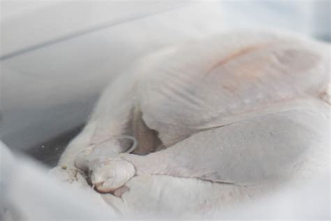 how-to-brine-a-turkey-step-by-step-guide-the image