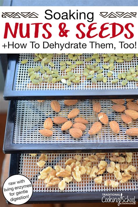 soaking-nuts-seeds-how-to-dehydrate-them-too image