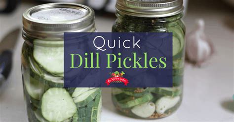 quick-and-easy-fresh-dill-pickles-the-kitchen-garten image