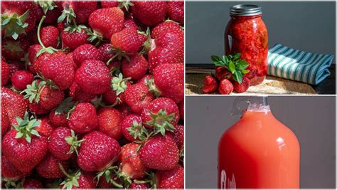 10-fantastic-and-unusual-strawberry-recipes-that-go image