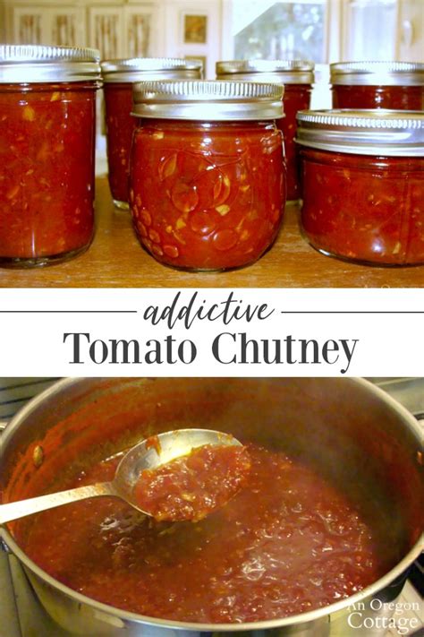 easy-addictive-tomato-chutney-recipe-regular image