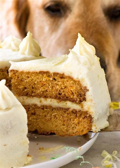 dog-cake-recipe-for-dozers-birthday-recipetin-eats image