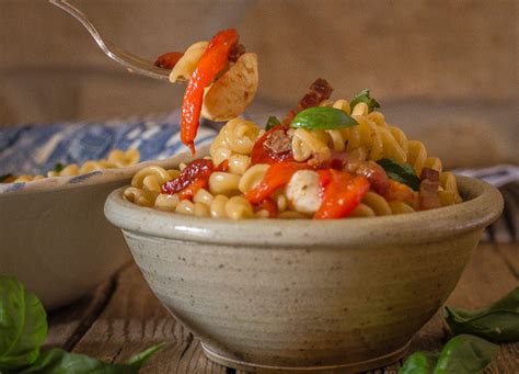 roasted-pepper-pasta-salad-recipe-an-italian-in-my image
