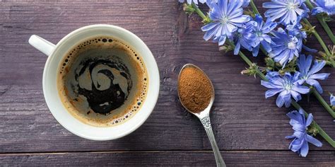 what-is-chicory-what-does-it-have-to-do-with-coffee image