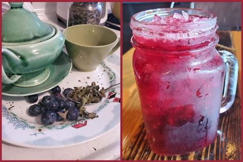 easy-blueberry-tea-recipe-backyard-garden-lover image
