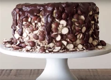 how-to-make-amazing-triple-malt-chocolate-cake image