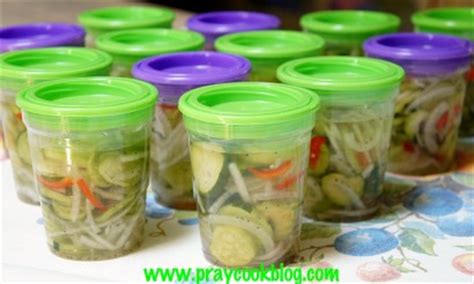 crispy-cucumber-freezer-pickles-tasty-kitchen image