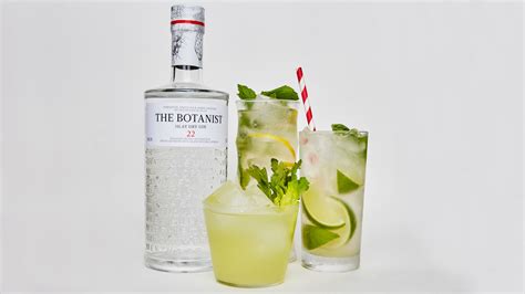 3-refreshing-twists-on-the-classic-gin-tonic-bon-apptit image