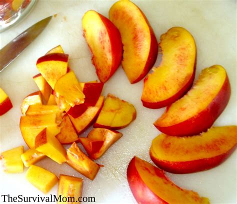 how-to-can-peaches-and-nectarines-survival-mom image