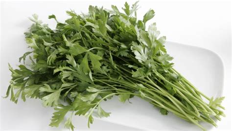 parsley-recipes-bbc-food image