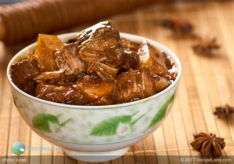 chinese-beef-stew-recipe-recipeland image