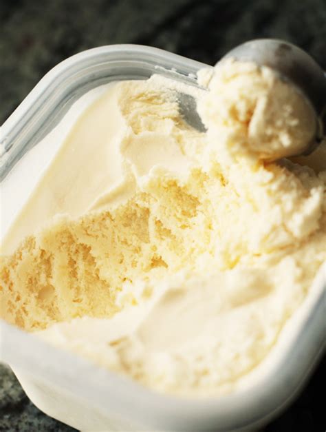 easy-egg-free-vanilla-ice-cream-savory-sweet-life image