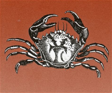 bajan-crab-backs-british-food-in-america image