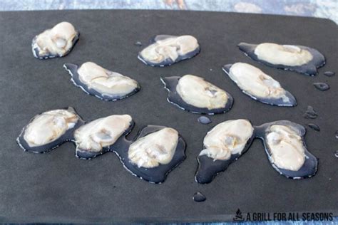 smoked-oysters-a-grill-for-all-seasons image
