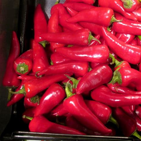what-to-buy-when-a-recipe-calls-for-red-chiles image