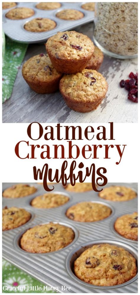 oatmeal-cranberry-muffins-graceful-little-honey-bee image