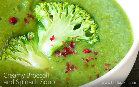 creamy-broccoli-and-spinach-soup-herbazest image