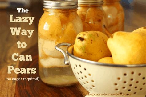 how-to-can-pears-without-sugar-the-prairie-homestead image