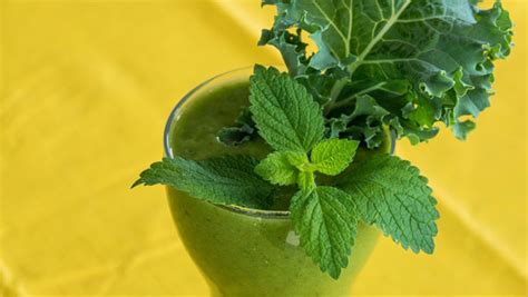 savory-green-smoothie-the-homegrown-vegan image