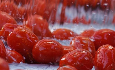 italian-food-spa-tomato-comes-first-petti image
