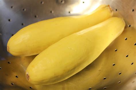 how-to-cook-yellow-squash-in-the-oven-livestrong image