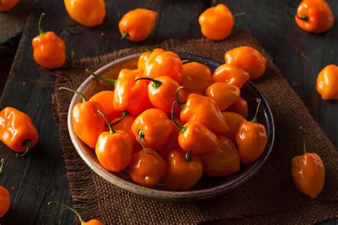 cooking-with-habanero-peppers-5-must-follow-rules image